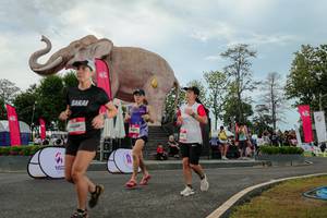 BIB: 
                            <button type="button" onclick="openModal(26528867)" class="btn btn-primary btn-sm float-right btn-popup" data-toggle="modal" data-target=".modal-high-quality">
                        <i class="fas fa-shopping-cart"></i> Add to Cart
                    </button>
                                            <button type="button" onclick="isThisMe(26528867, true)" class="btn btn-success btn-sm float-right btn-popup btn-isme hidden" data-toggle="tooltip" data-placement="bottom" title="นี่คือรูปของคุณใช่ไหม คลิกที่นี่เพื่อเอาเข้าอัลบั้ม">
                        <i class="fas fa-plus"></i> Add to album
                    </button>
                    <button type="button" onclick="isThisMe(26528867, false)" class="btn btn-warning btn-sm float-right btn-popup btn-isnotme hidden">
                        <i class="fas fa-ban"></i> Remove from album
                    </button>